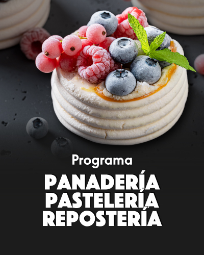 Programa de Pastelería, Repostería y Panadería