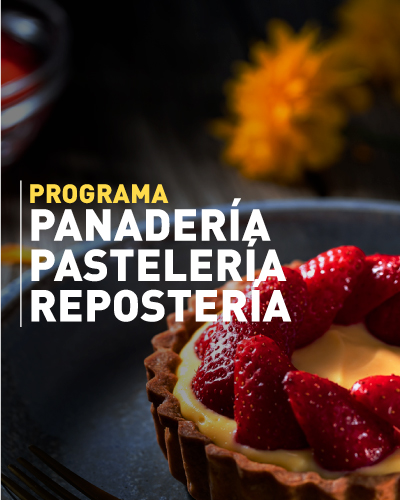 Programa de Panadería, Pastelería y Reposteria