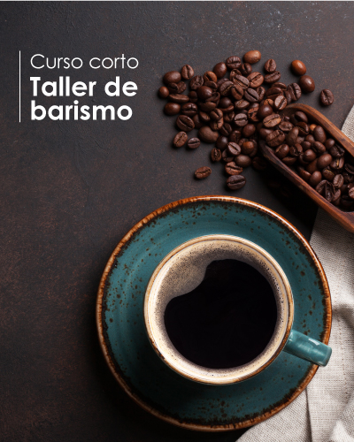 Taller de Barismo